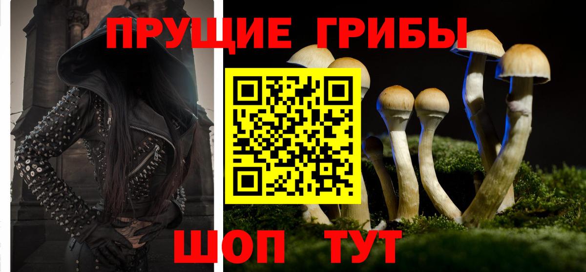 Галлюциногенные грибы ЛСД  наркошоп  Каменск-Шахтинский  Псилоцибиновые грибы GOLDEN TEACHER  Вход с VPN 